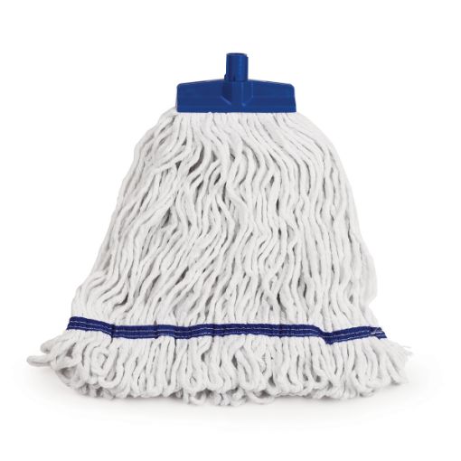 Picture of MOP HEADS (DRYWITE) MB